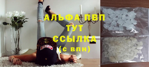 PSILOCYBIN Арсеньев