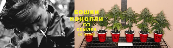 крисы Аркадак