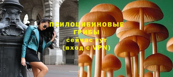 мет Армянск